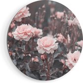 Cercle Mural Artaza Dibond - Fleurs Roses Roses - Ø 90 cm - Groot - Cercle Mural - Tableau Rond - Pour Intérieur et Extérieur