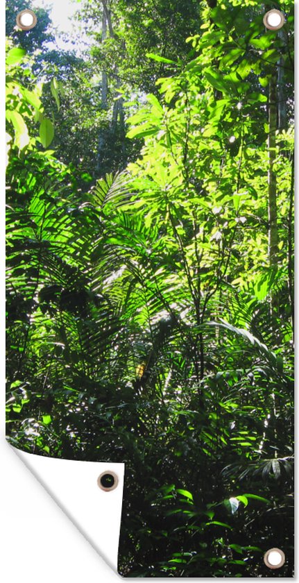Wanddecoratie buiten Regenwoud Brazilie fotoprint - 80x160 cm - Tuindoek - Buitenposter