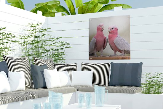 Tuinposters Twee roze kaketoe's in gesprek - 50x50 cm - Tuindoek - Buitenposter