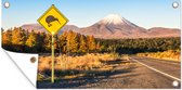 Tuinposter Kiwi bord Nieuw-Zeeland - 80x40 cm - Wanddecoratie Buiten - Tuinposter - Tuindoek - Schuttingposter - Tuinschilderij