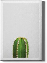 Walljar - Cactus II - Muurdecoratie - Canvas schilderij