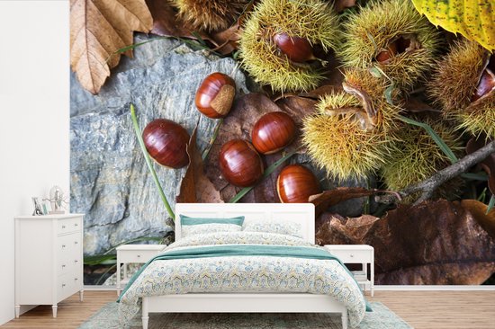 Châtaignes douces couchées sur le sol d'automne Papier peint photo vinyle largeur 525 cm x hauteur 350 cm - Tirage photo sur papier peint (disponible en 7 tailles)