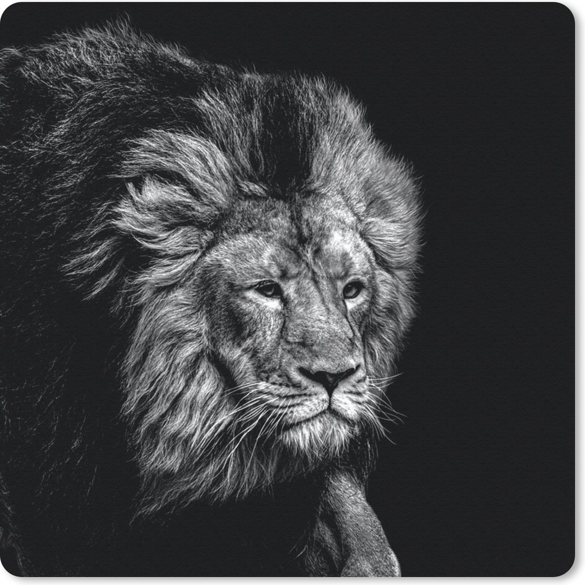 Muismat 20x20 cm - Mousepad Leeuw - Dieren - Zwart - Wit - Muismatten