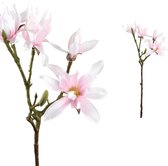 PTMD Magnolia Flower Japanse Magnolia Kunsttak - 23 x 23 x 63 cm - Roze