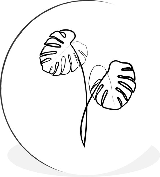 Illustration de dessin au trait botanique Monstera plante d'intérieur Cercle mural aluminium ⌀ 90 cm - impression photo sur cercle mural / cercle vivant / cercle de jardin (décoration murale)