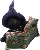 Nemesis Now Beeld/figuur Kitty's Grimoire (Green) Kat Groen