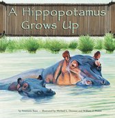 Wild Animals - A Hippopotamus Grows Up