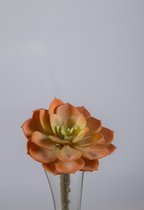 Kunstplant - Echeveria - topkwaliteit decoratie - 2 stuks - zijden vetplant - Oranje - 13 cm hoog