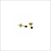 Aramat jewels ® - Zweerknopjes parel zwart chirurgisch staal goudkleurig 4mm kinderen dames