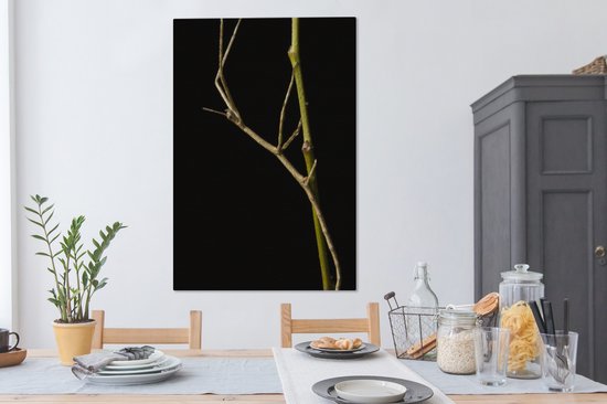Tableau sur toile Phasme assis sur une branche - 90x140 cm - Décoration murale