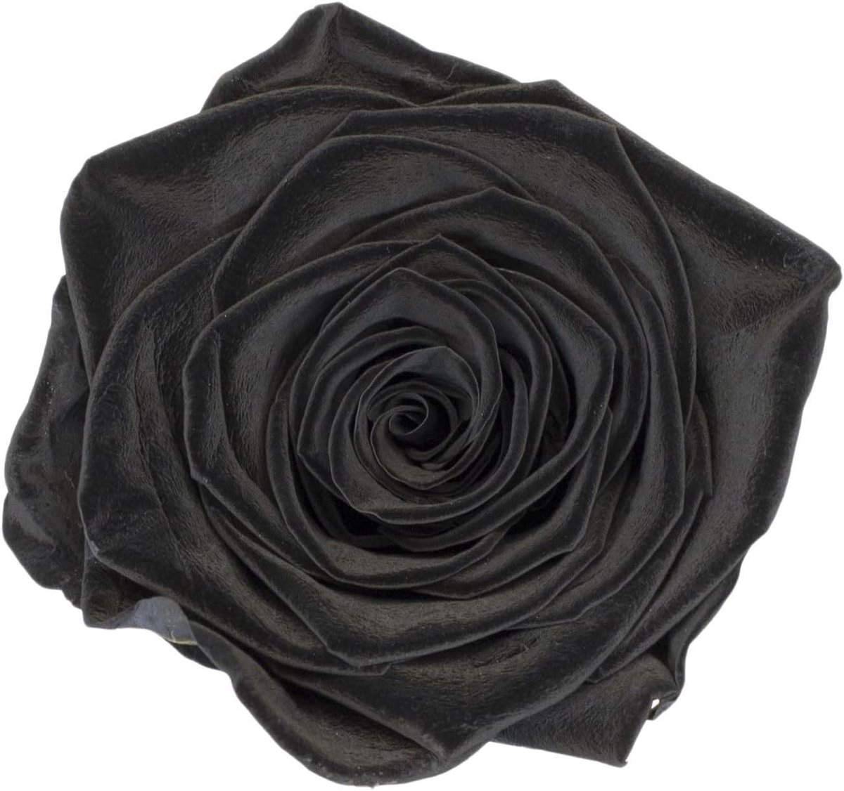 Preserved Rose Heads - Eternal Flowers - Decoratie en Cadeau - Natuurlijke Echte Rozen - 4-5 cm - Zwart