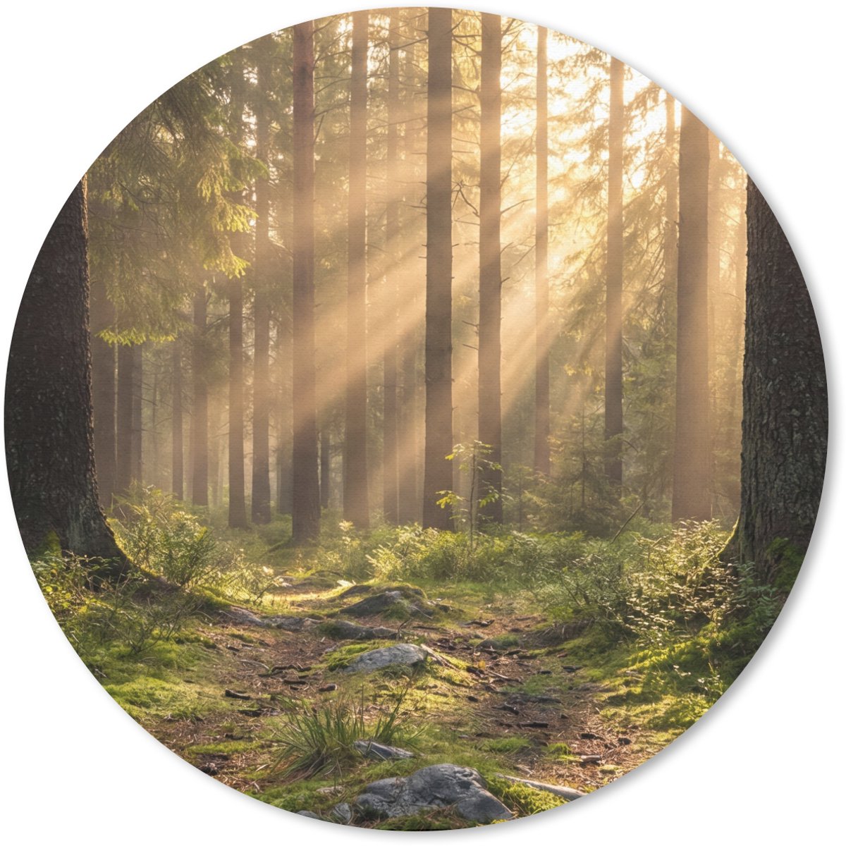 Muismat rond 20x20 cm - Mousepad Bos - Zonlicht - Gras - Ronde muismatten