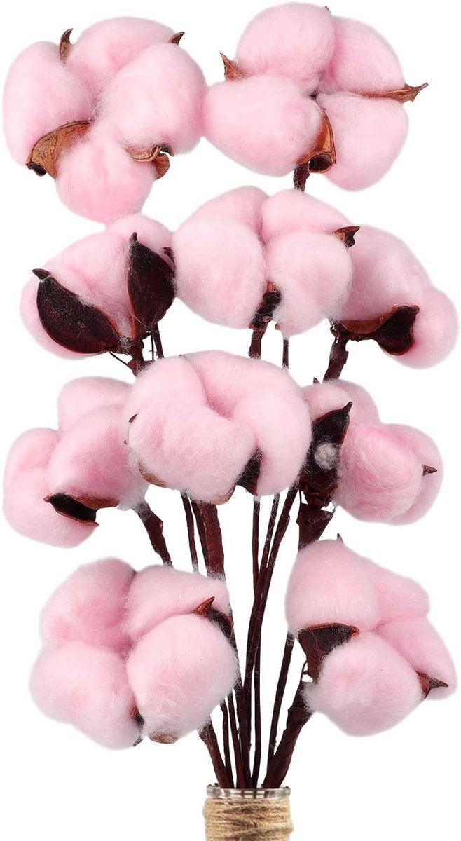 Gedroogde Katoen Stelen - Katoen Bloemen - Huis Decoratie - Natuurlijke Uitstraling - 42 cm - Roze
