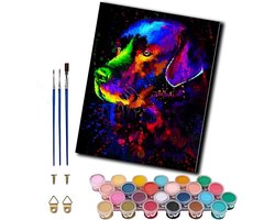 Schilderij op nummer - DIY kunst Knutselpakket - Ontspanning creëren - Voorbedrukt canvas - 40 x 50 cm - Veelkleurig