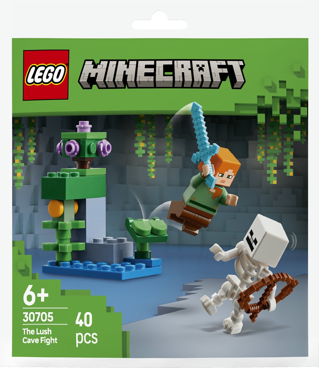 LEGO constructiespeelgoed