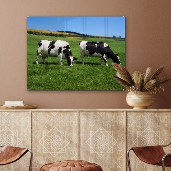 Deux vaches frisonnes dans l'herbe verte Plexiglas 80x60 cm - Tirage photo sur verre (décoration murale plexiglas)