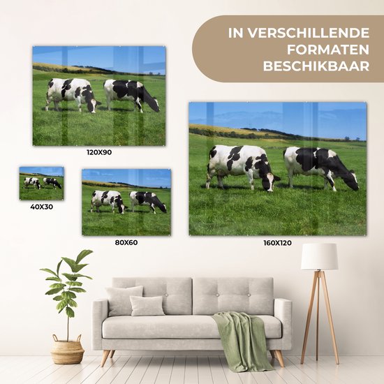 Deux vaches frisonnes dans l'herbe verte Plexiglas 80x60 cm - Tirage photo sur verre (décoration murale plexiglas)
