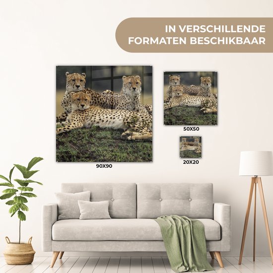 MuchoWow® Peinture sur verre 20x20 cm - Peinture acrylique sur verre - Trois guépards dans la savanne - Photo sur verre - Peintures