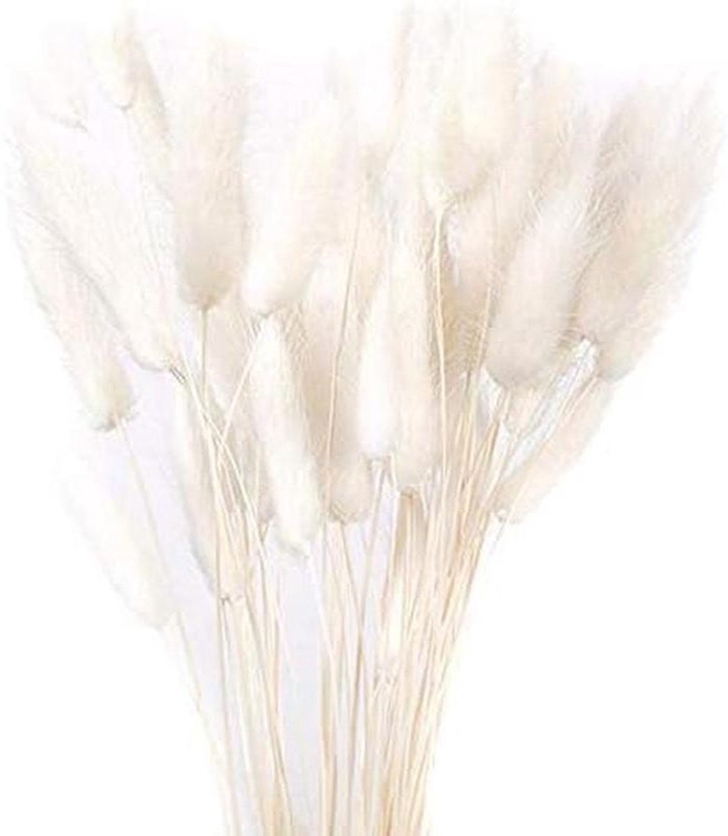 Gedroogde Bloem Boeket - Decoratie Set - Huis en Bruiloft - Natuurlijke Schoonheid - 20 Stuks 55cm - Wit