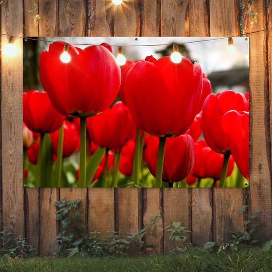 Gros plan de tulipes rouges Affiche de jardin 180x120 cm - Toile de jardin / Toile d'extérieur / Peintures d'extérieur (décoration de jardin) XXL / Groot format!