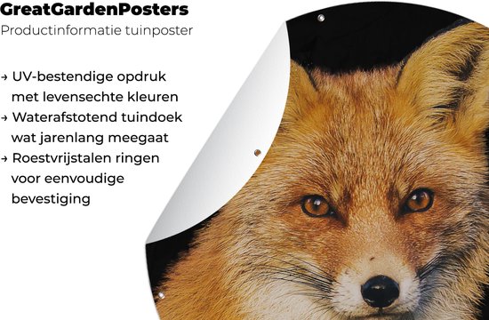 Garden Circle Fox - Rouge - Zwart - 60x60 cm - Affiche de jardin