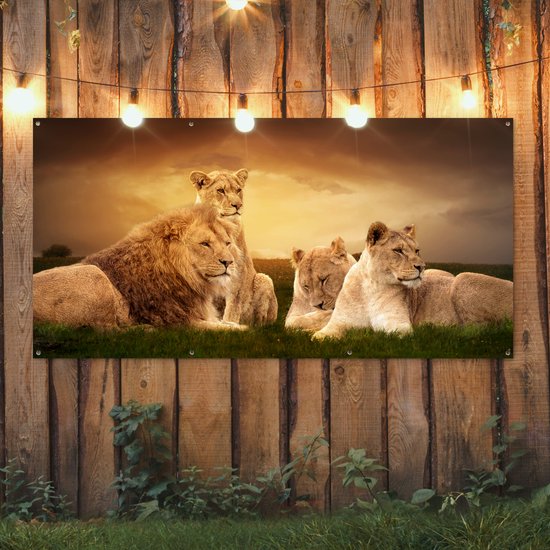 Affiche de clôture Lions - Herbe - Ciel - 200x100 cm - Toile de jardin