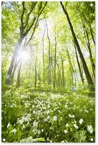 Posters de jardin Printemps - Fleurs - Vert - 60x90 cm