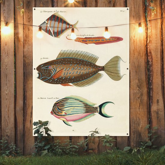 Décoration murale' extérieur Vintage - Animal - Poisson - 120x160 cm