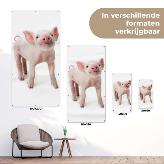 Affiche de clôture Cochon - Animaux - Wit - 100x200 cm - Toile de jardin