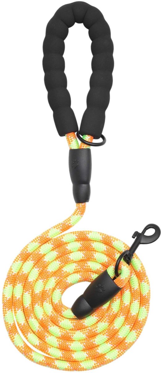 Dailygoods - Hondenriem met Gevoerde Handgreep en Reflecterende Draden, Oranje-Groen, 2 m