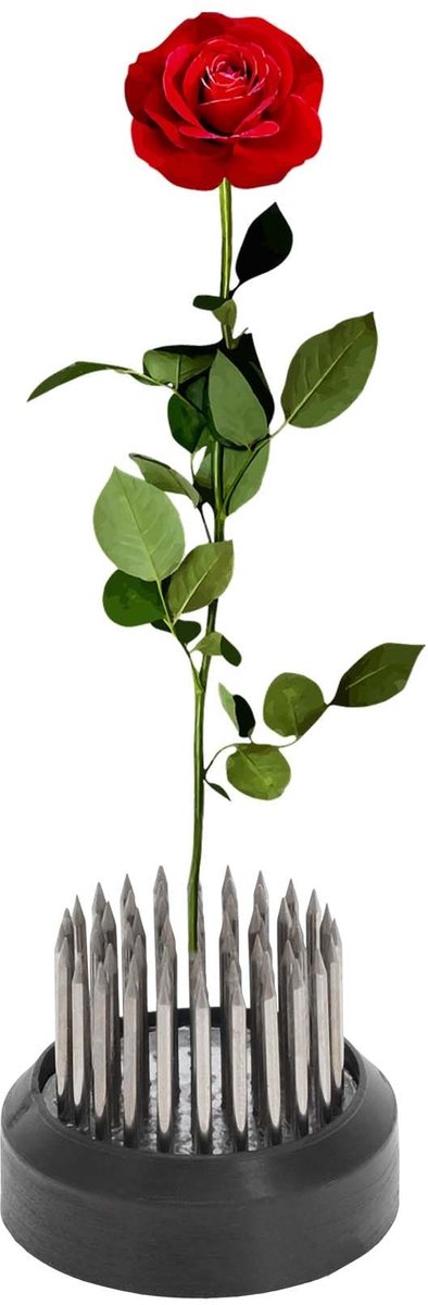 Cosensi - Dailygoods - Roestvrijstalen Bloemenkikker voor Bloemstukken 35 mm