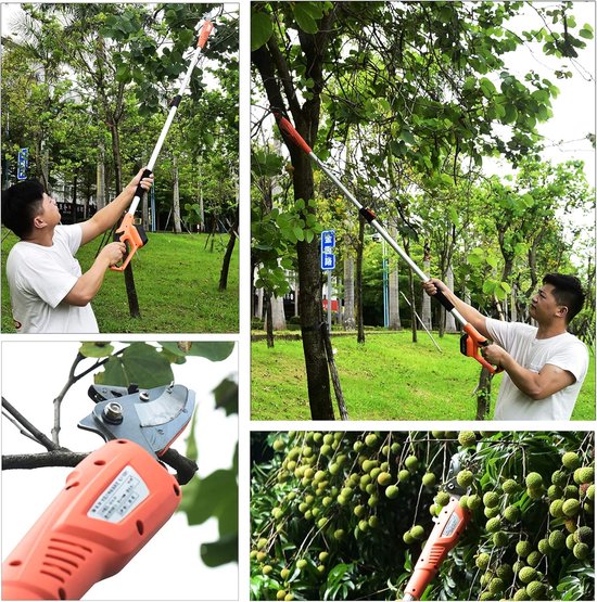 Fruitplukker Lange Steel - Oogstgereedschap Tuin - Fruit Plukken - Elektrisch Ondersteund - 2 Meter - Elektrisch — afbeelding 3
