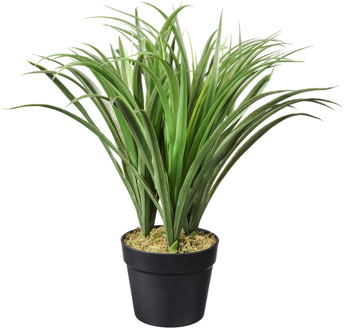 HTT Decorations Kunstplant Siergras groen H50cm - HTT Decorations kunstplanten