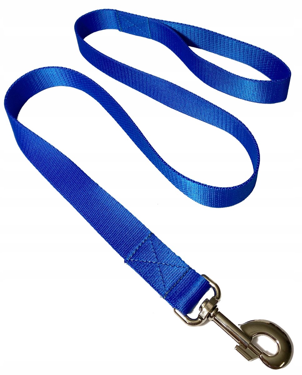 Sterke Blauwe Hondenlijn 140cm / 30mm - Duurzaam Polypropyleen