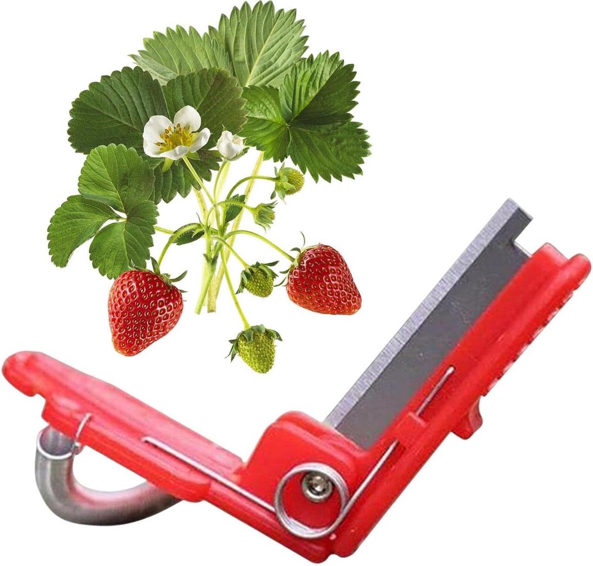 Vinger Cutter - Oogstgereedschap - Fruit Plukken - Duim Geactiveerd - 7 cm - Rood