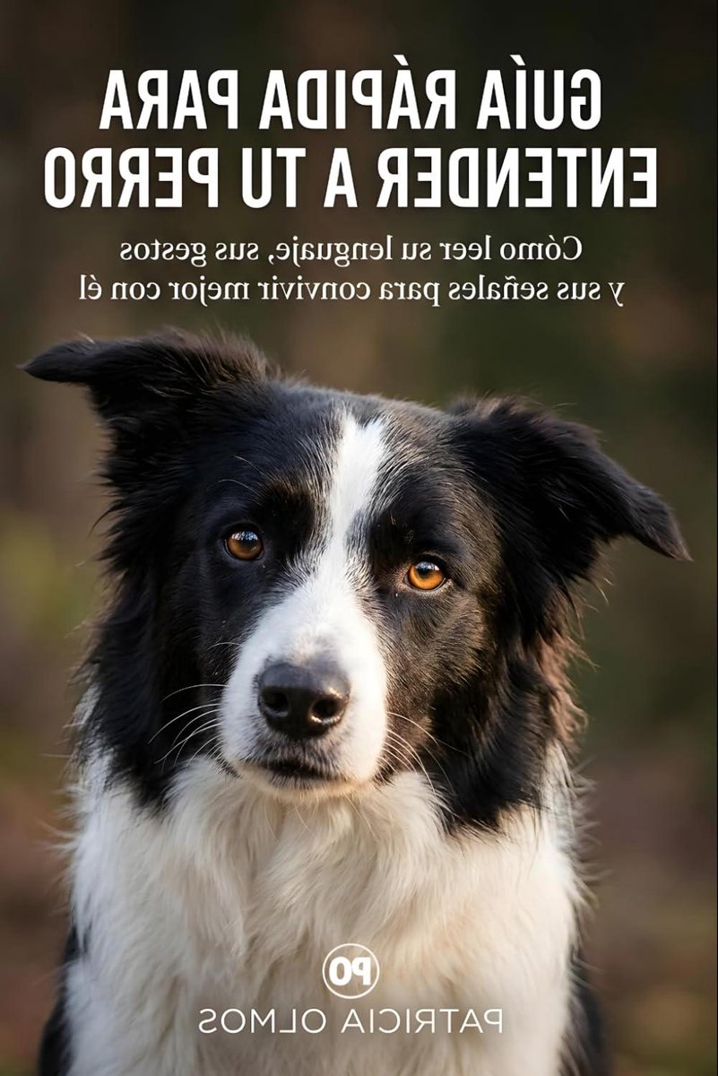 Honden Communicatie Gids - Honden Taal - Huisdier Begrip - Praktische Observatie - 148 Pagina's - Niet gespecificeerd