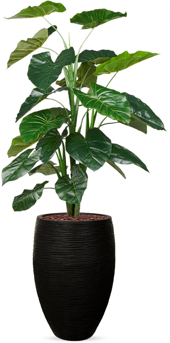 HTT Decorations Kunstplant Philodendron in Vaas elegant Deluxe rib zwart H155 cm