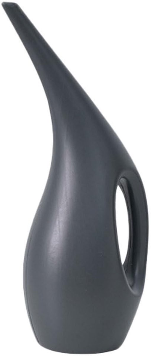 Dailygoods- Gieter 1,5 Liter Grote Capaciteit - Kunststof - Lichtgewicht - Comfortabele Grip - Duurzaam - Geschikt voor Tuinieren - Plantenbewateringskan