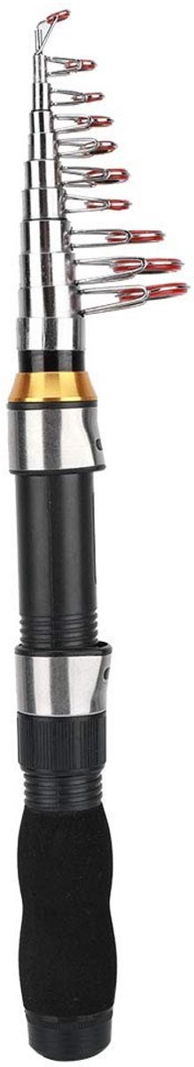 Dailygoods - Intrekbare Mini Hengel - Draagbare Vishel - 2.3 Meter - Roestvrijstaal - Geschikt voor Zee- en Zoetwater - Perfect voor Elke Visser