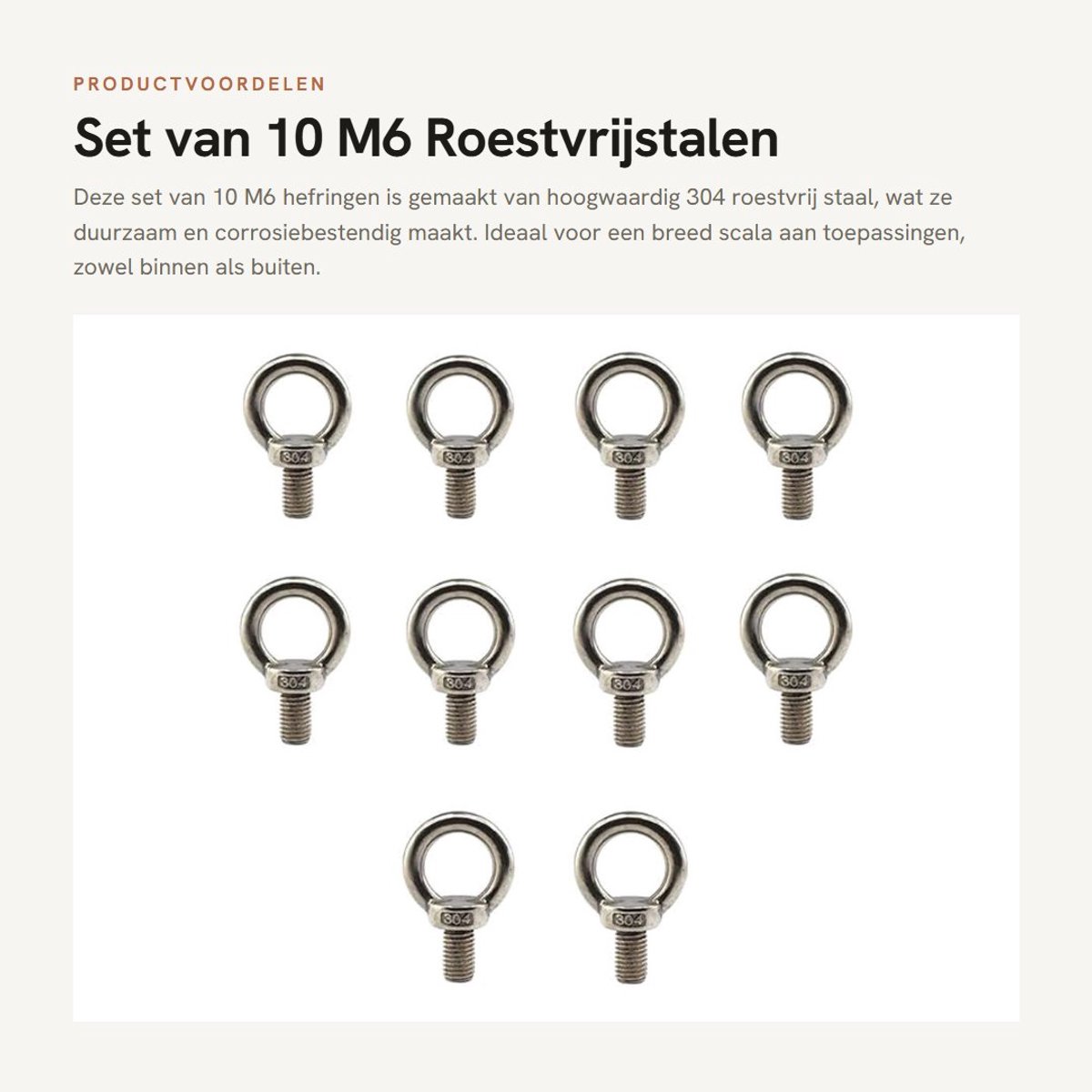 Dailygoods- Hefringen 10 Stuks - Roestvrij Staal 304 - Corrosiebestendig - Nauwkeurige Schroefdraad - Zilverkleurig - Voor Ophangen en Optillen - Oogbouten