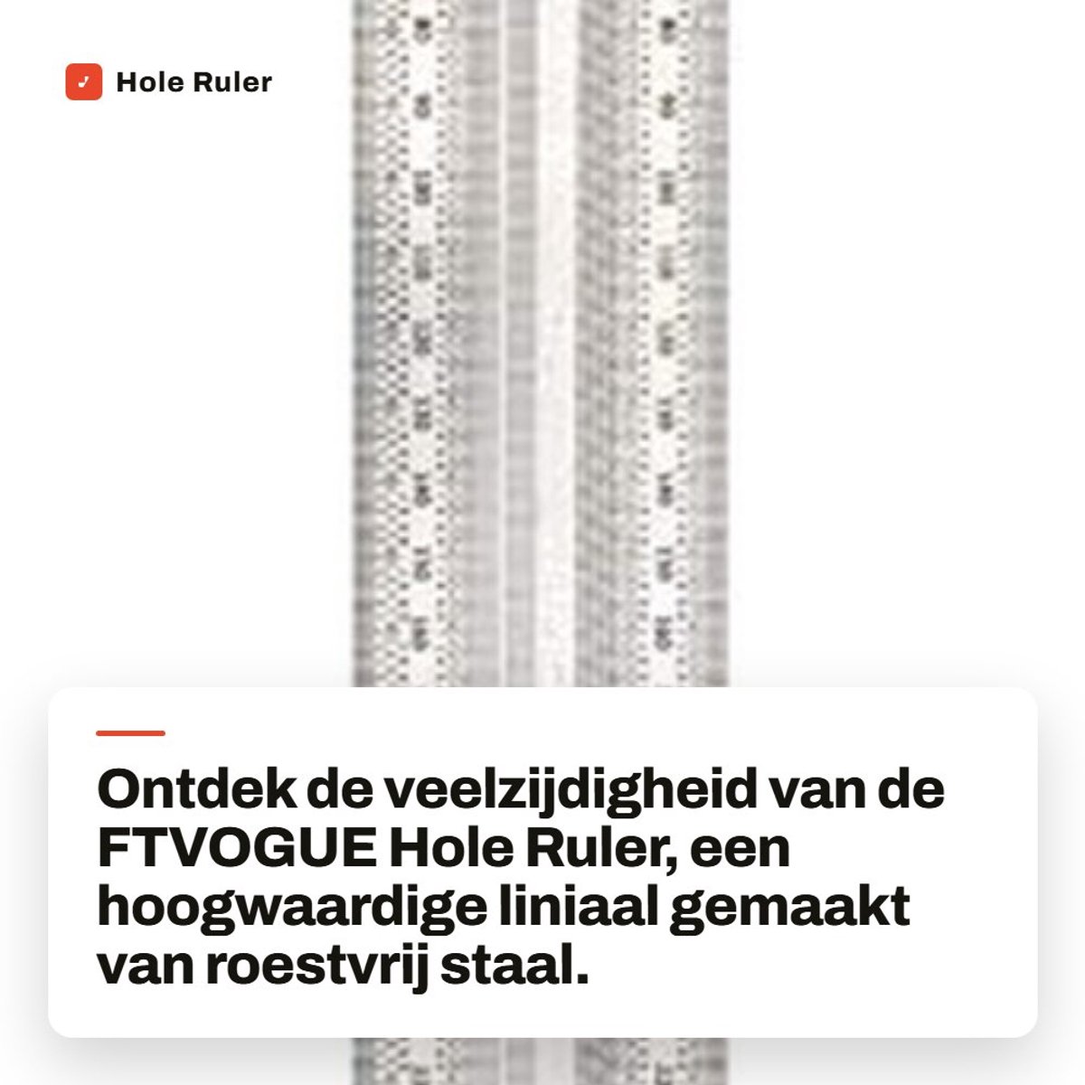 Dailygoods- Hole Ruler 300mm - Roestvrij Staal - Duidelijke Schalen - Precisie tot 0.25mm - Duurzaam - Lichtgewicht en Draagbaar - Liniaal