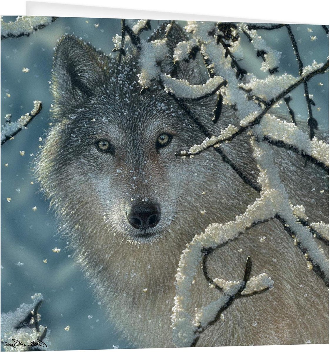 3D Wenskaart - Kaart Wolf - Berichten Versturen - Lenticulaire 3D Technologie - 16cm x 16cm - Meerkleurig