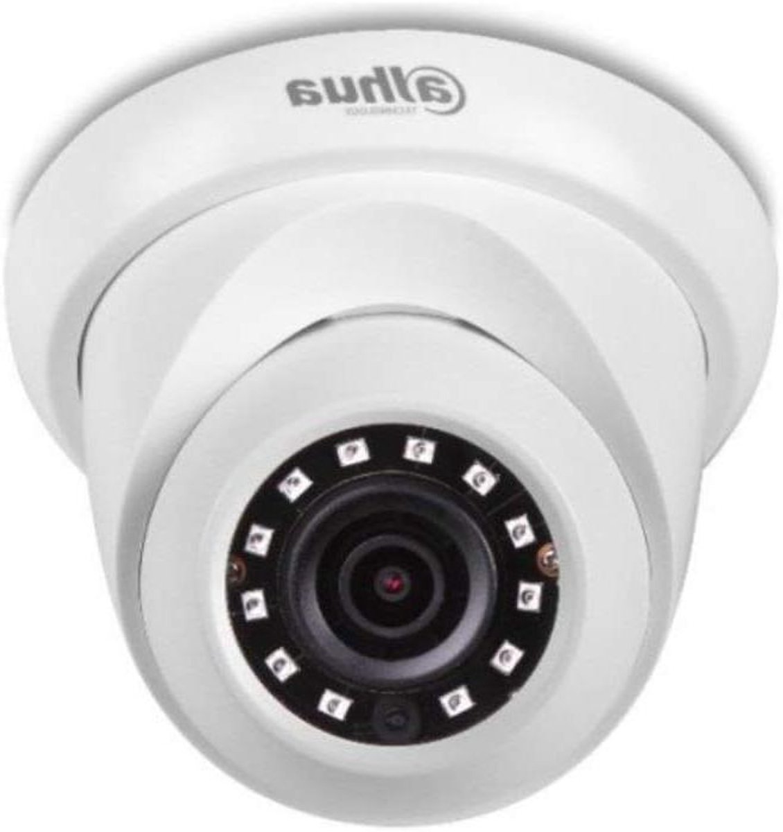 Beveiligingscamera IP - Dome Camera - Objecten Detecteren - Hoge Resolutie Nachtzicht - 2 Megapixel