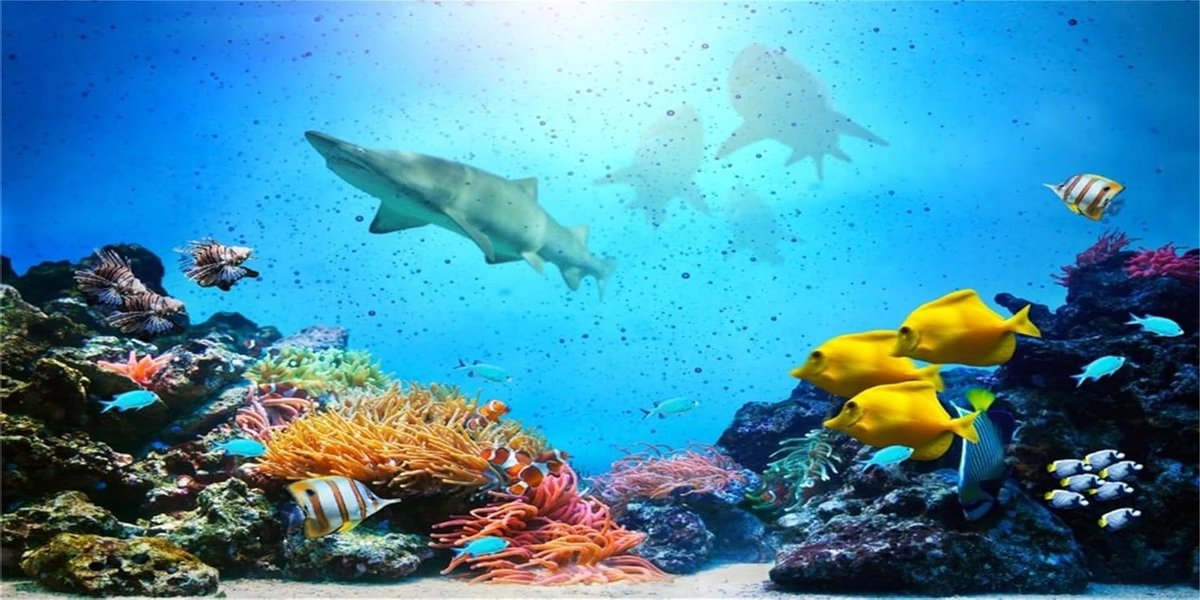 Aquarium Achtergrond - Vis Tank Decoratie - Onderwater Landschap - Levendige HD Beelden - 180x61cm - Koraal Tropisch