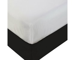 ShopBedding Queen plastic matrasbeschermer - zwaar belastbaar, hoeslaken van vinyl - kunststof matrashoes, rubberen lakens voor volwassenen of kinderen, 100% waterdicht hoeslaken, queensize -
