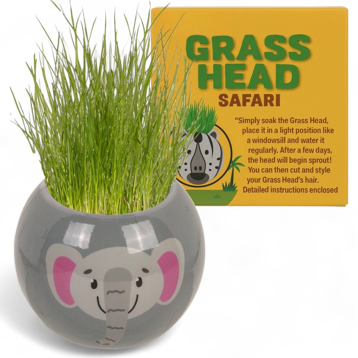 Cosensi- Graskop Dierfiguren - Plantenbak 6,5 cm - Kunststof Pot - Doe-het-zelf Decoratie - Voor Kinderen en Volwassenen - Inclusief Aarde en Grassaden