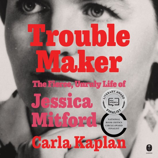 Troublemaker - cover