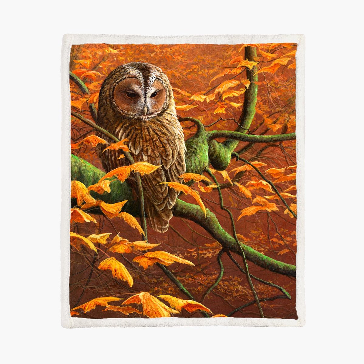 The Coloured House Fleece Deken 150*200cm Autumn Tawny Owl Herfst Uil Multicolor
