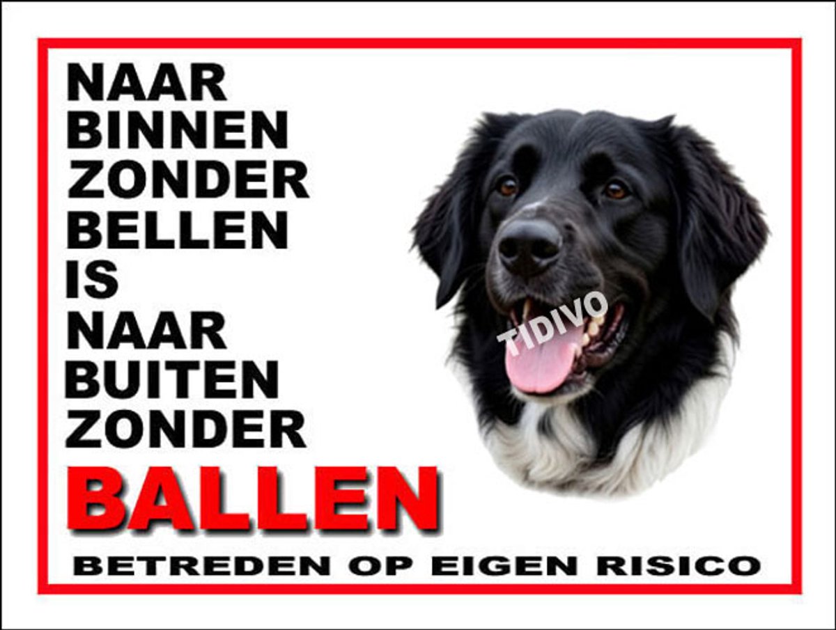 Stabijhound 11