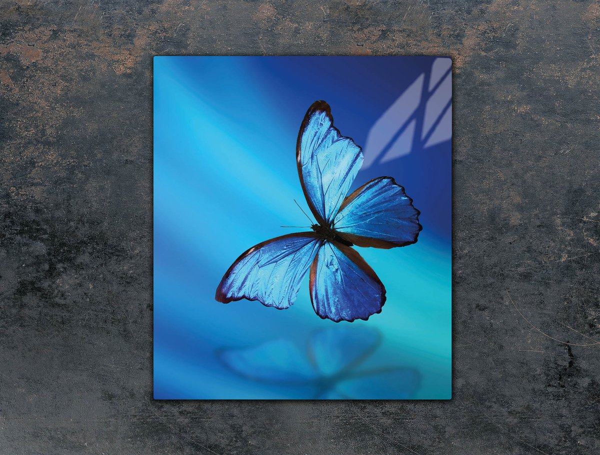 TMK ArtDeko - Snijplank - Glas - 45x52 cm - Motief: Vlinder